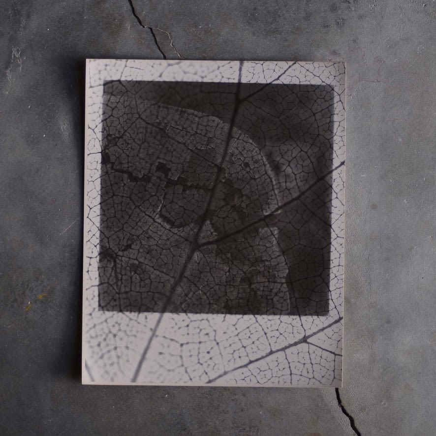 hand printed photograph