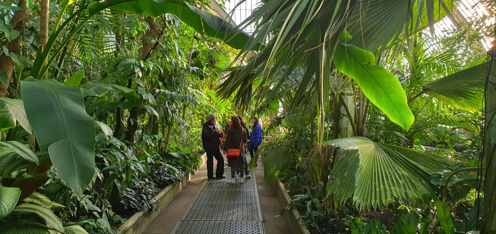 Students inside the Palm House at Kew Gardens