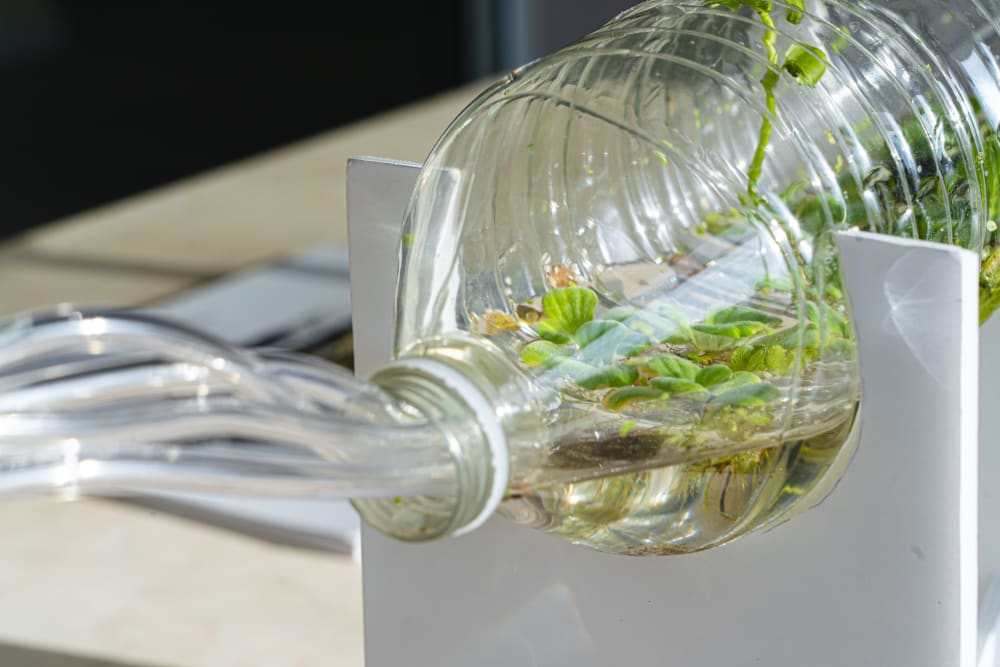 A close-up of a large plastic bottle on its side, with multiple pipes emerging from the spout. Inside the bottle is water, with plants and moss grossing inside