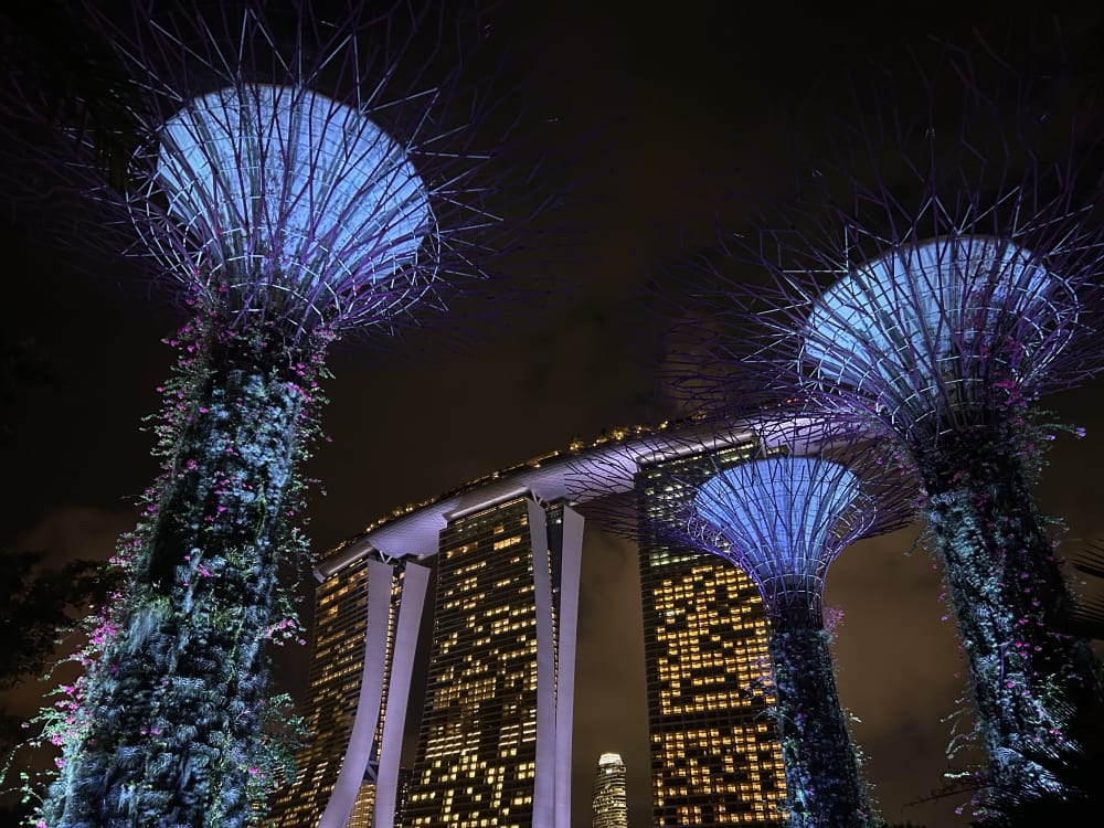 Image shows 3 trees made from metal with purple lighting. In the background, skyscrapers can be seen adorned with yellow lit windows.