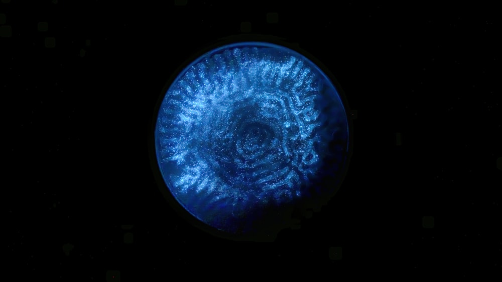 A blue circle resembling a jellyfish