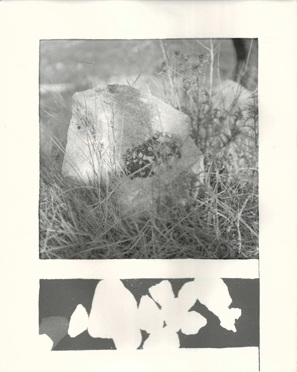 hand printed photograph