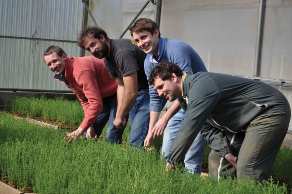 4 men working in a field