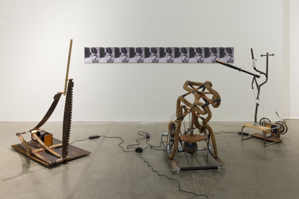 A photo of Ingrid Pollard's installation