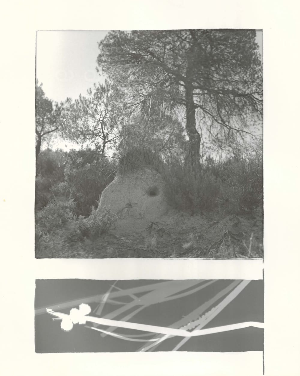 hand printed photograph