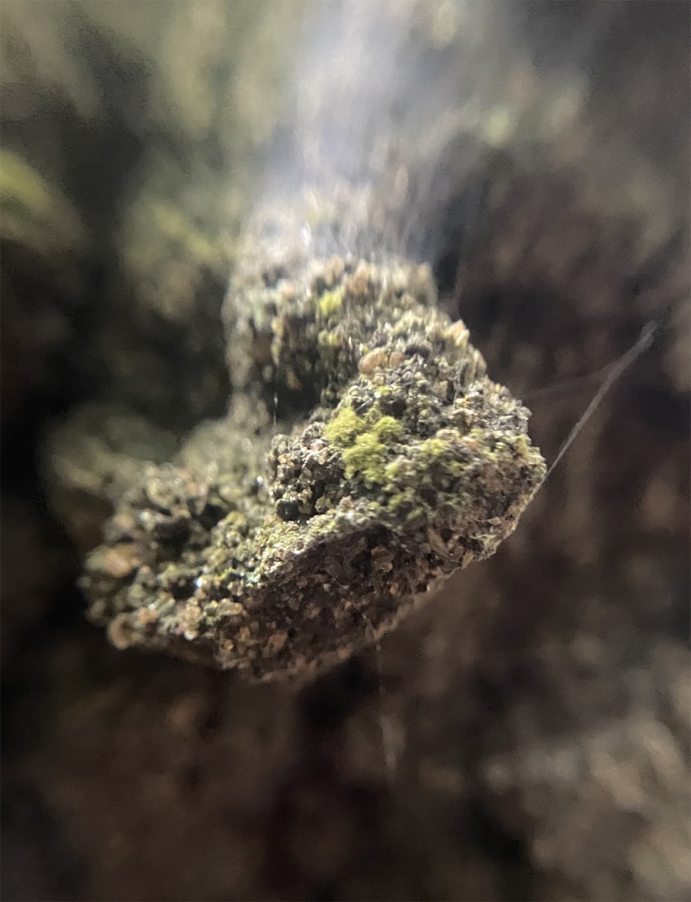Out of focus rock formation