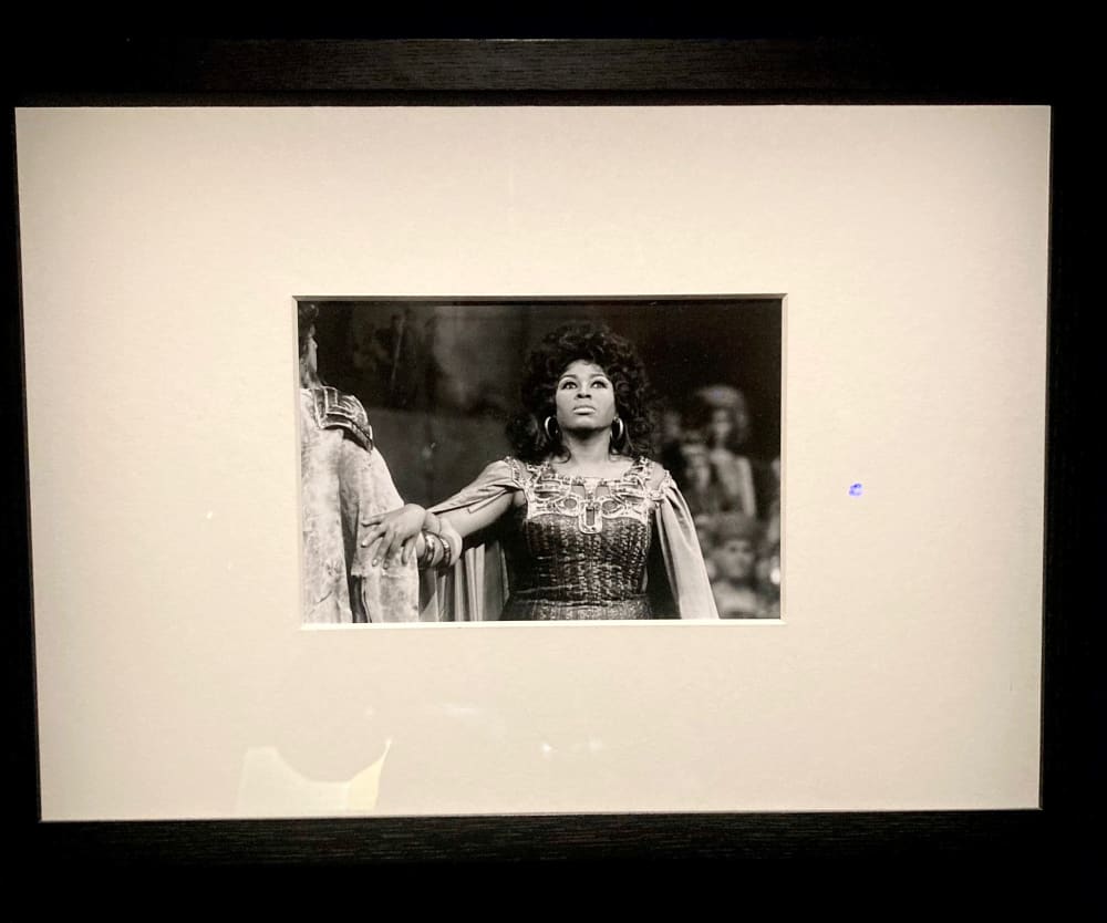 Image of Diva icon from 1960s