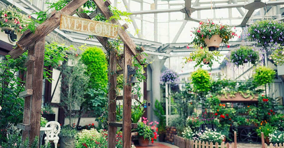 a room filled with herbs