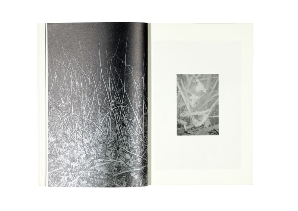 A scan of a book.