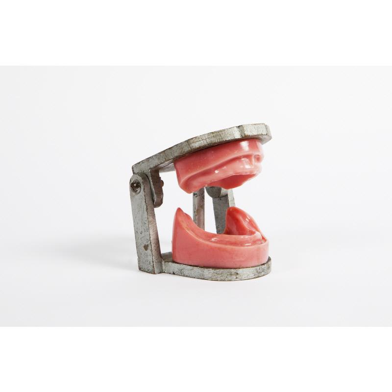 Aluminium and pink plastic frame of gums and jaw