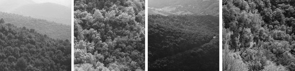 four black and white photos of mountains and forest
