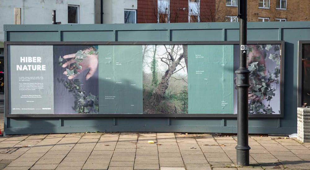 Photograph of a billboard featuring student work.