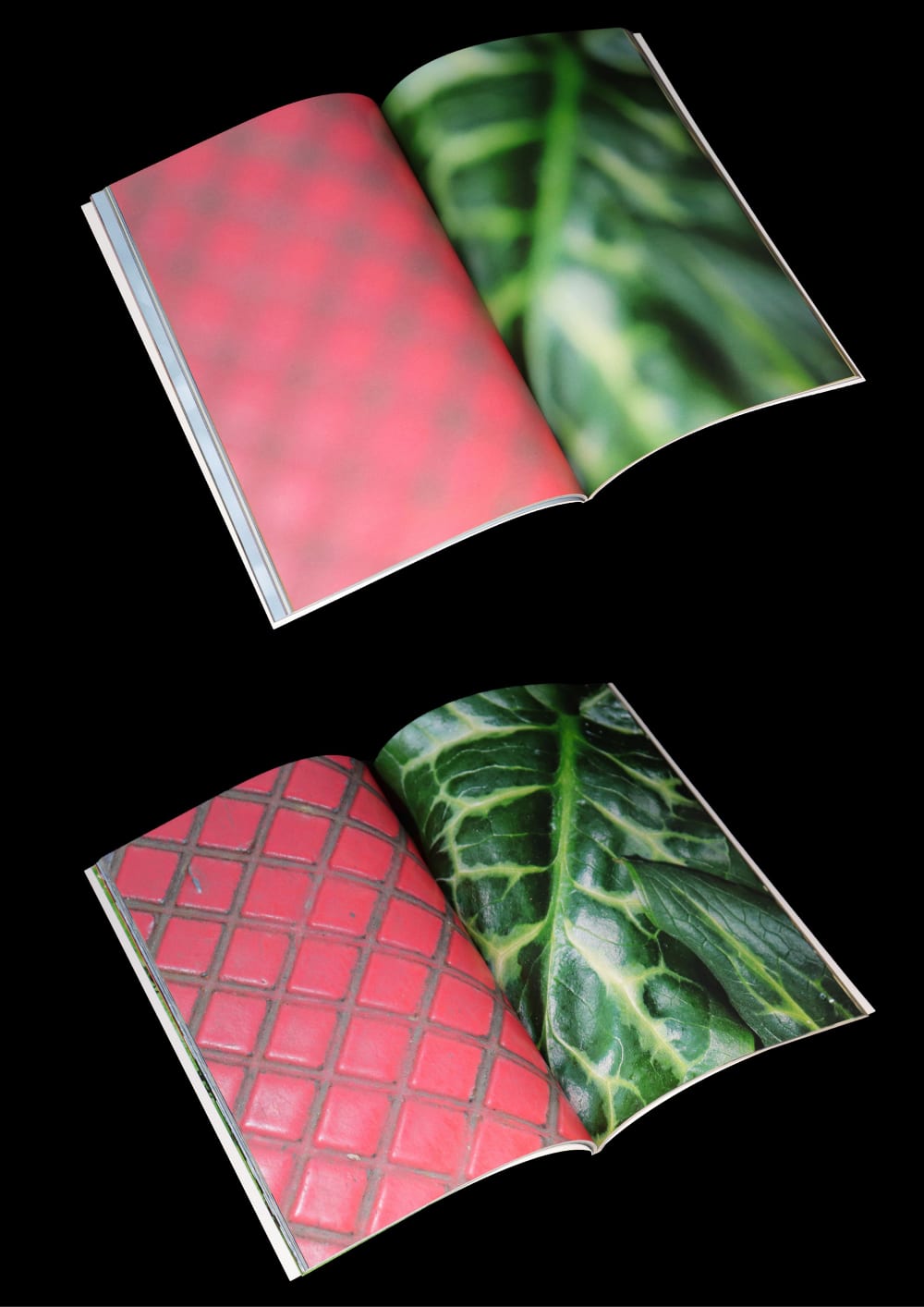 Photography books entitled A New Eye by Martin Del Busto.