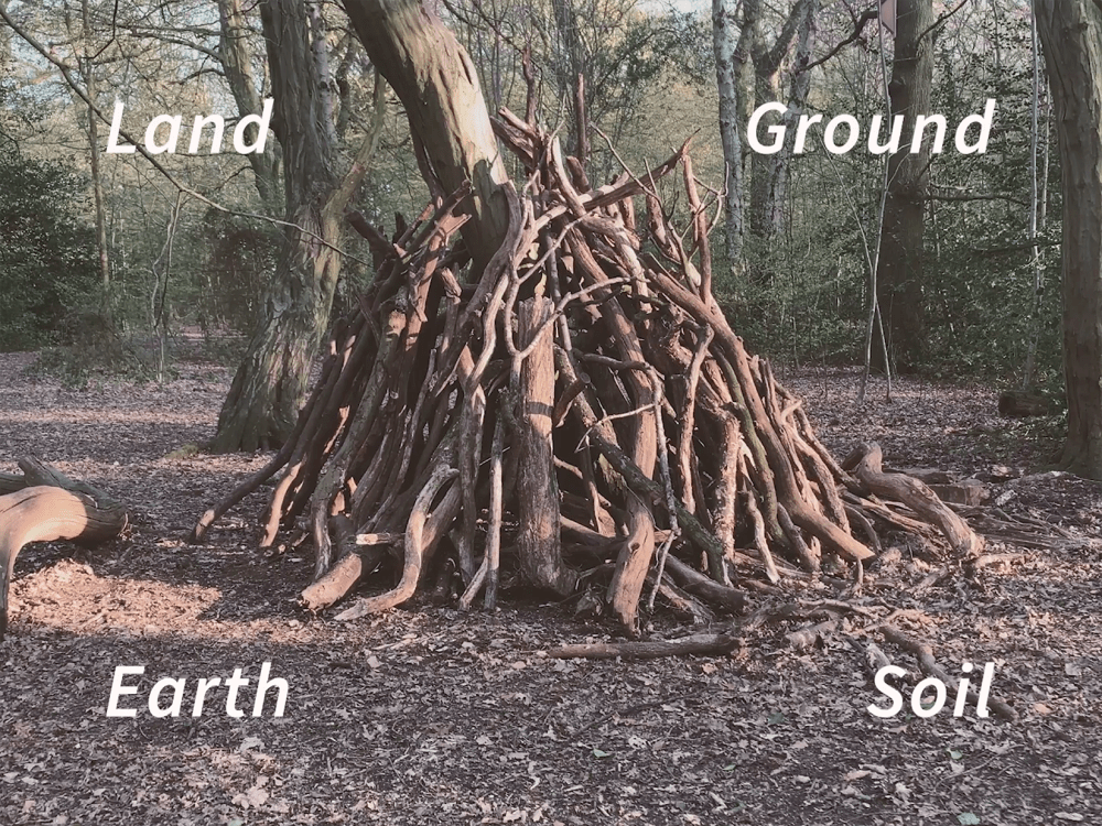 Image of tree with text of Land Ground Earth Soil