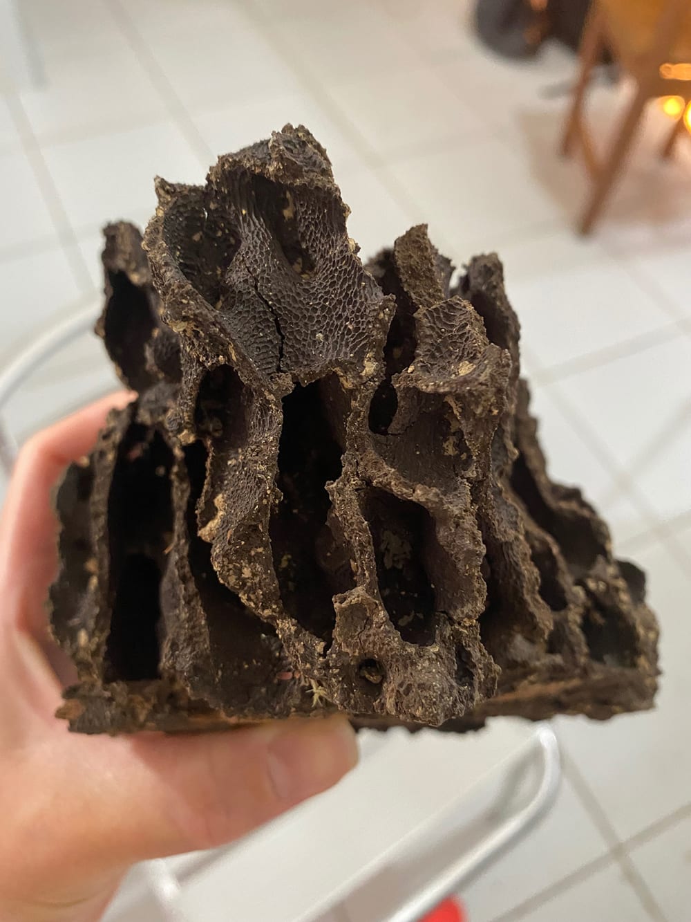Broken off ant hill formation