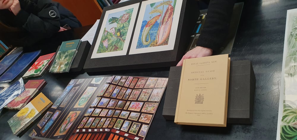 Highlights from the Kew Library and Archives Illustrations collection