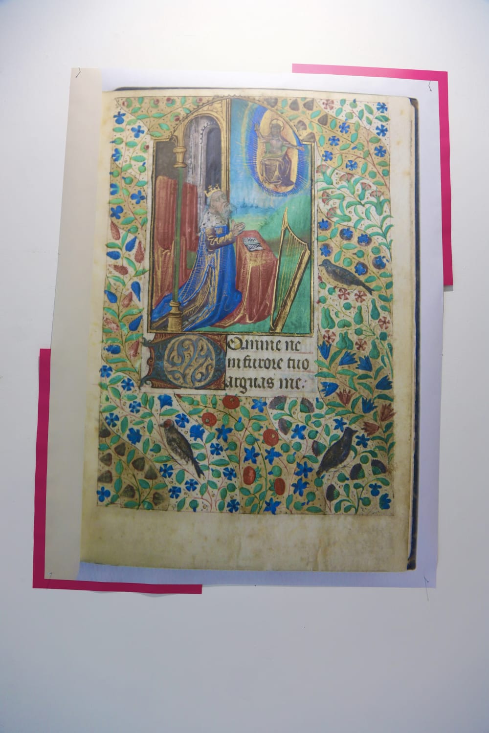 An illustrated colour page from the book enlarged and reproduced against a white wall. 