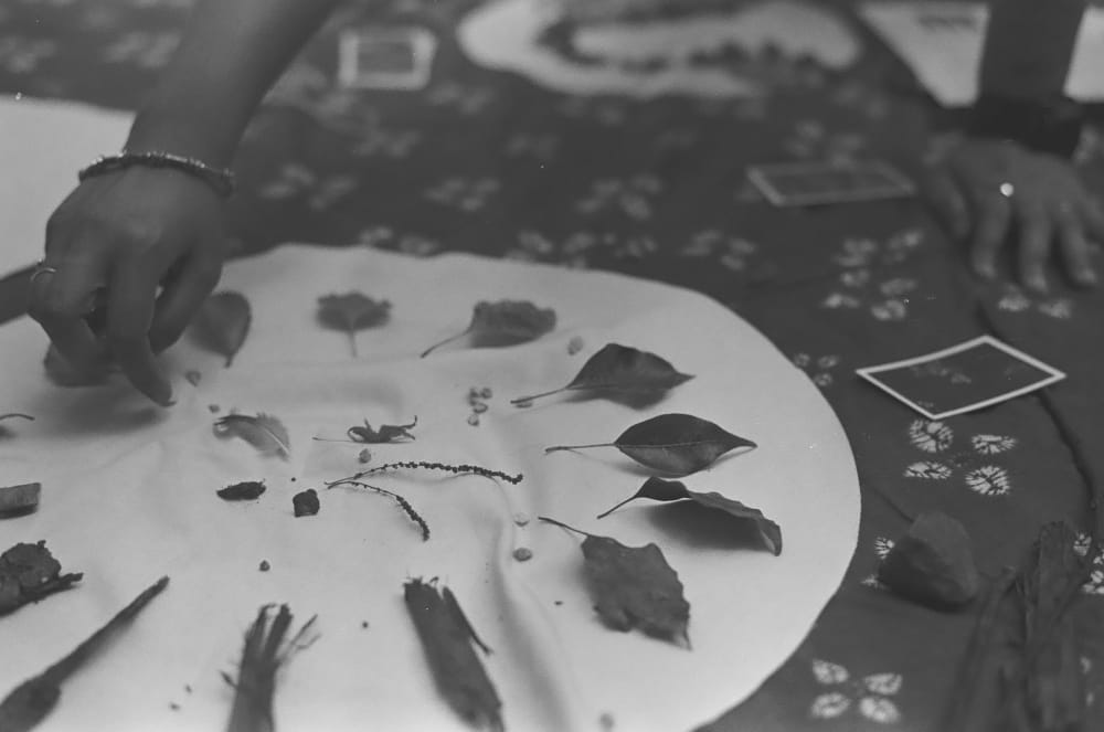 Black and white picture of fallen leaves