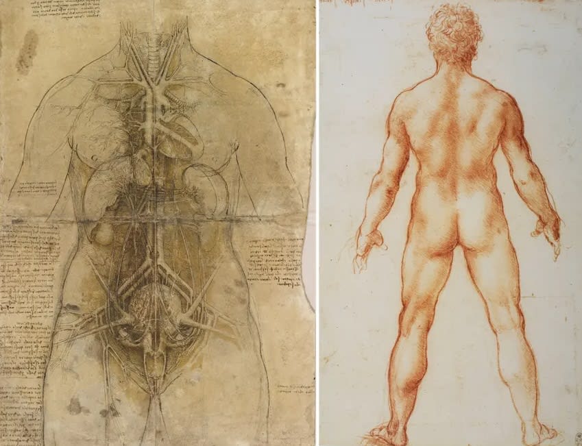 Leonardo Da Vinci - Royal Collection Trust - Famous drawing by Da Vinci