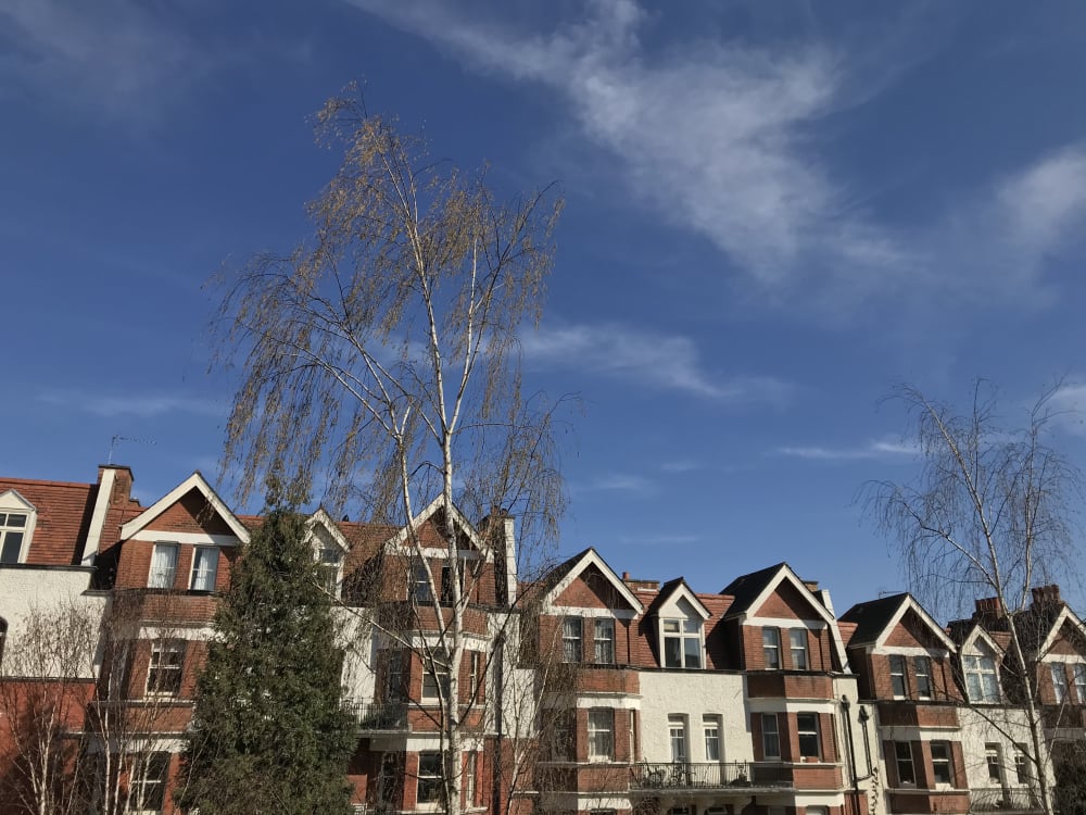 image of another building taken from a window of building opposite