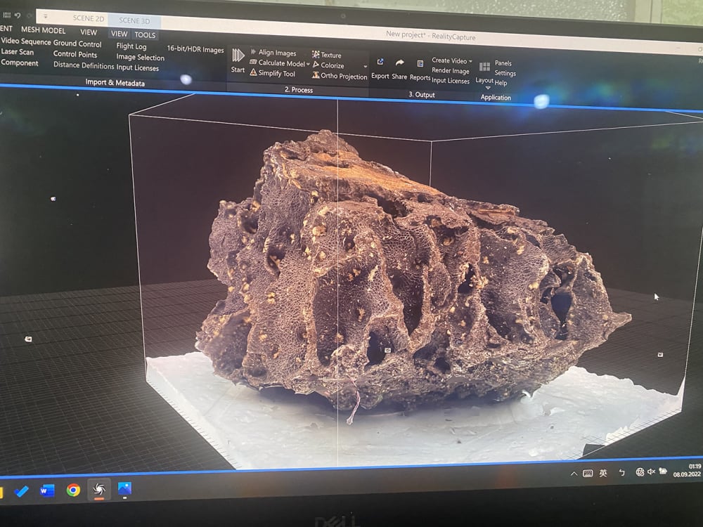 Digital analysis of ant fill formation