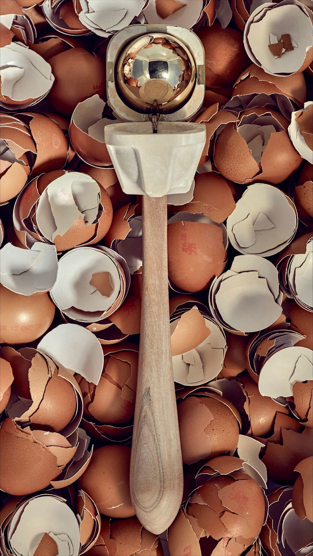 Wooden object lying on a background of cracked eggs.