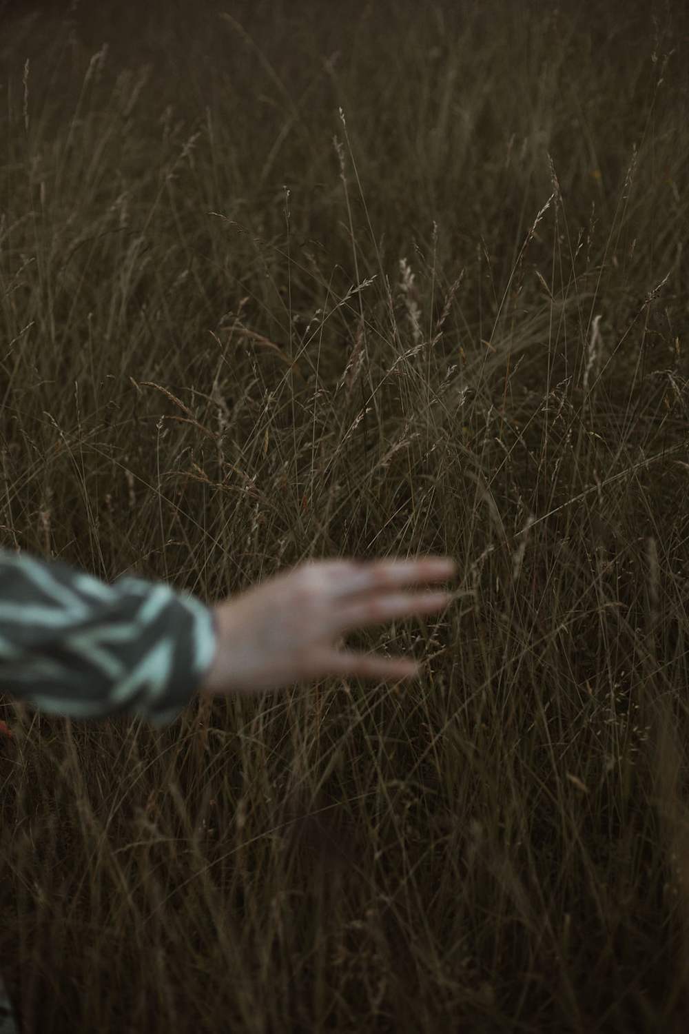 photography of an hand touching the grass