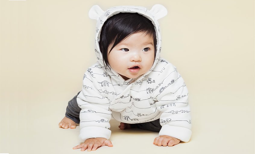 Baby modelling Animal Family Collection piece
