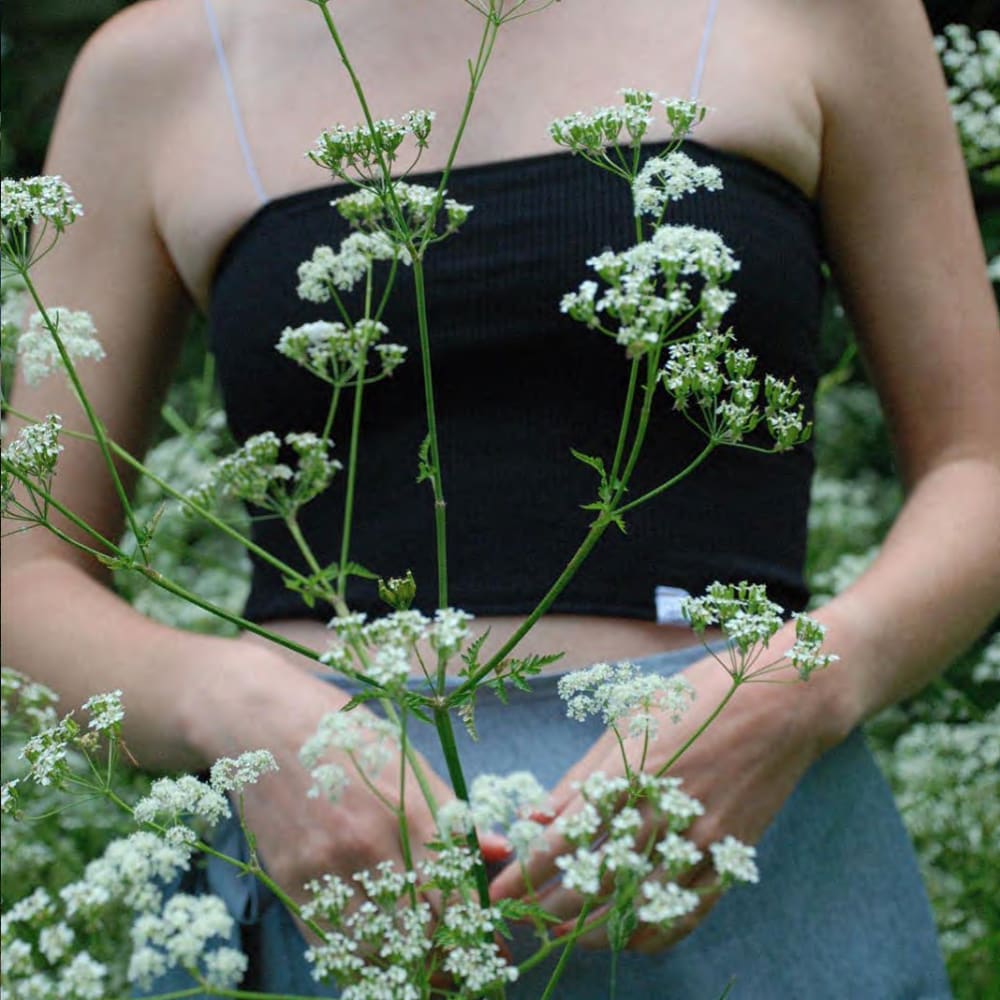 Photo of a person wearing a boob tube top, stood behind some white, wild flowers