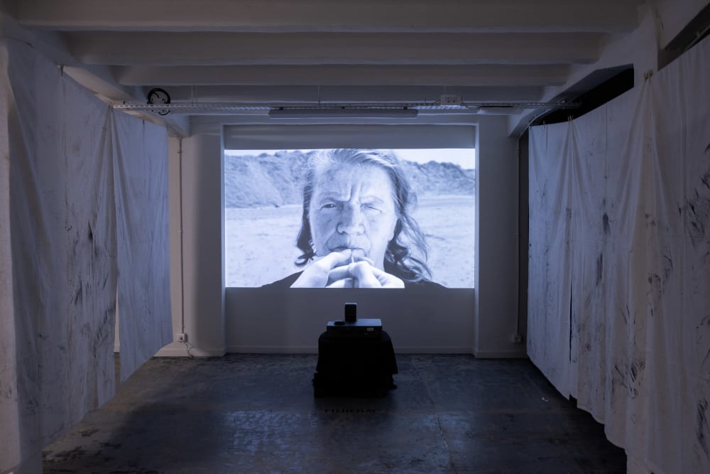 Mariana Hahn's artwork