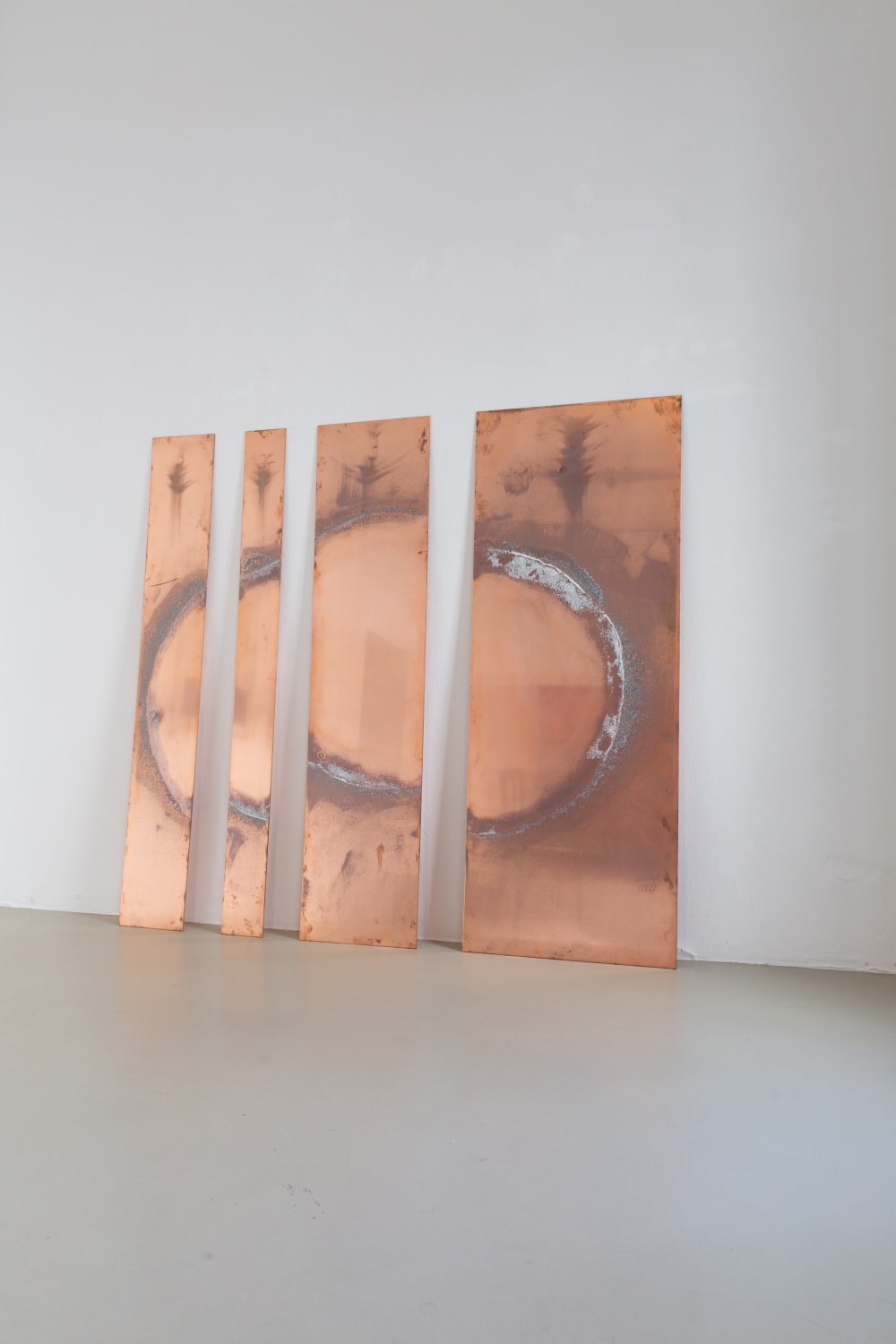 Mariana Hahn's exhibition