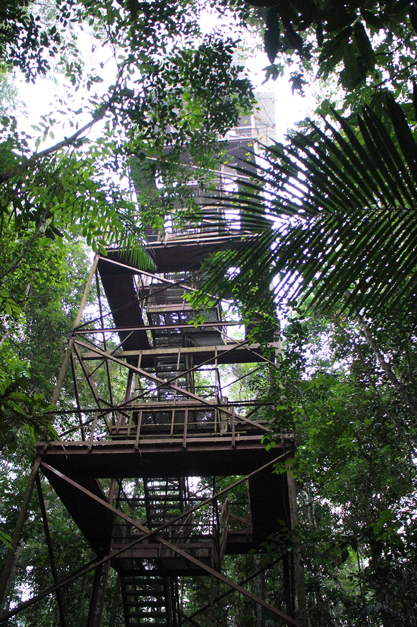 Hosting residency location