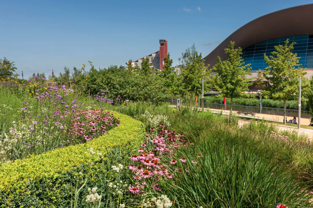View of Queen Elizabeth Olympic Park with the London Aquatic Centre surrounded by green spaces. Image by Hargreaves Jones. 
