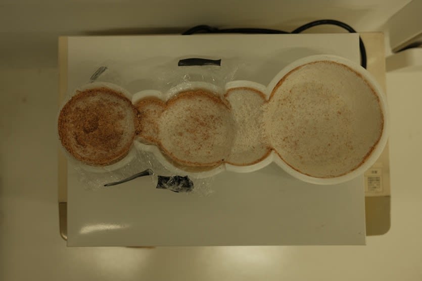 image of bio experiment