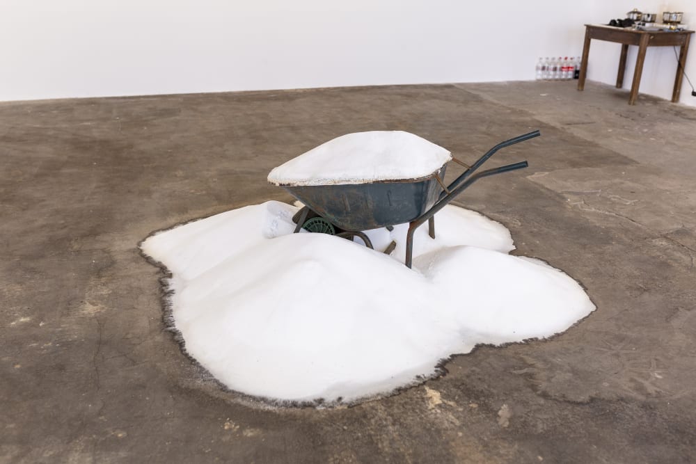 Mariana Hahn's artwork