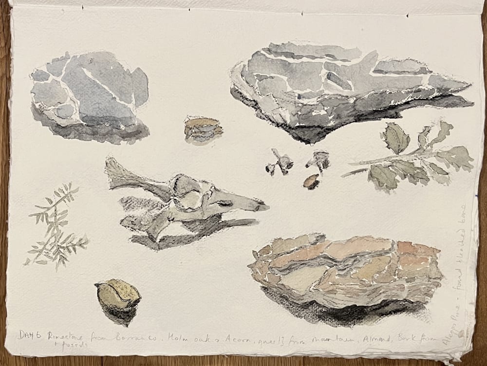 an illustration of stones