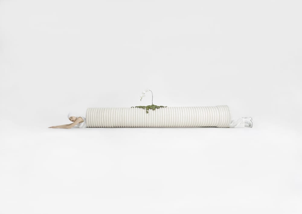 model lying elongated in white corrugated tube, with a plant sprouting on top