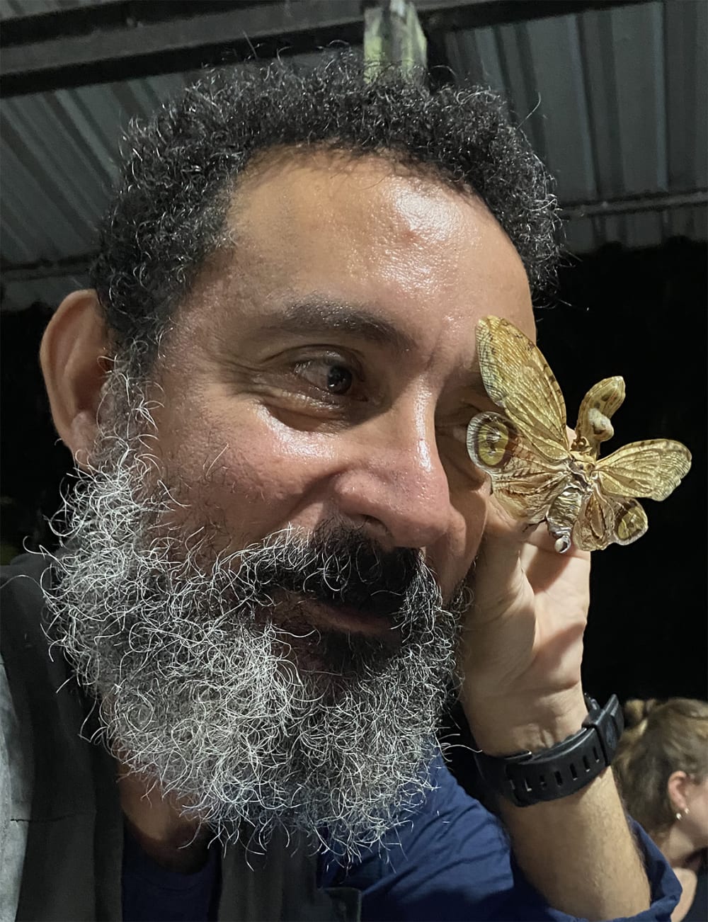 Butterfly on artist's hand