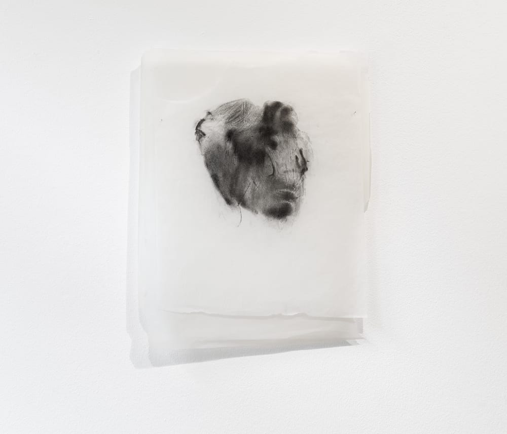 Mariana Hahn's artwork