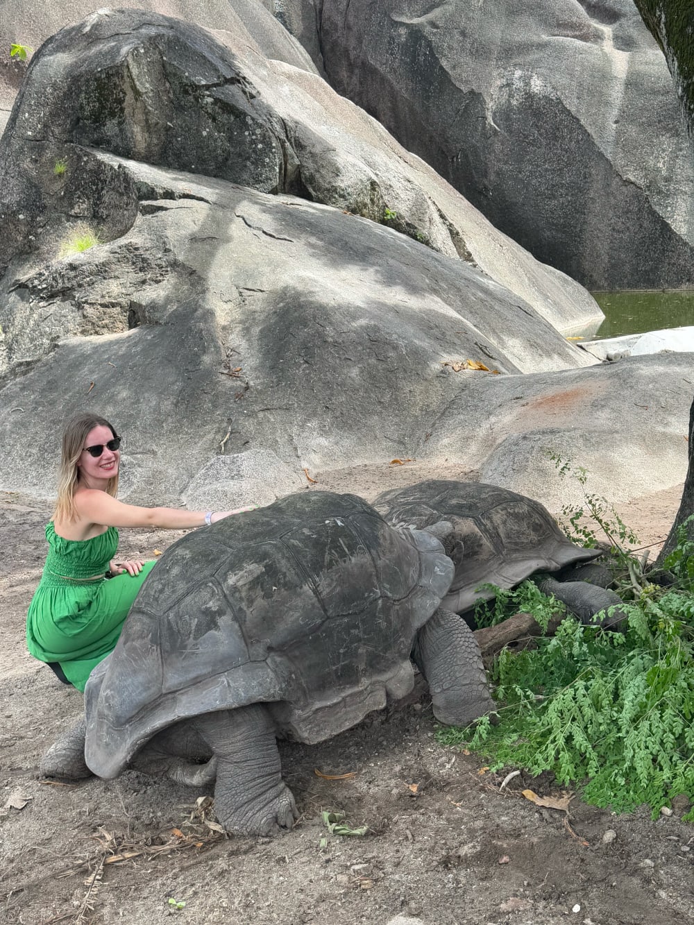 Woman crouching next to a giant tortoise