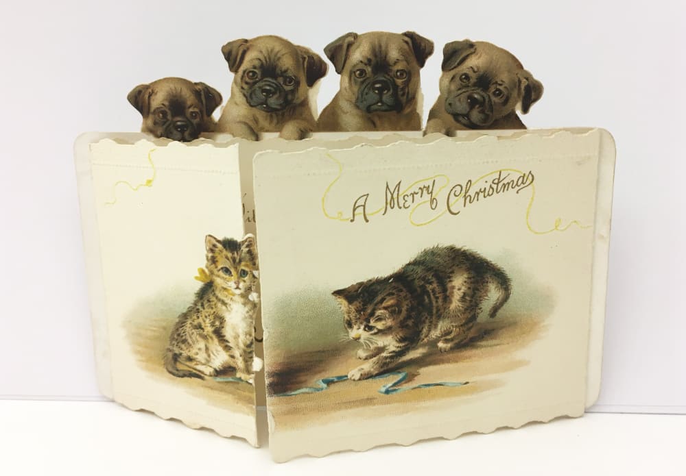 Fold out card reading 'A Merry Christmas' with images of kittens and puppies