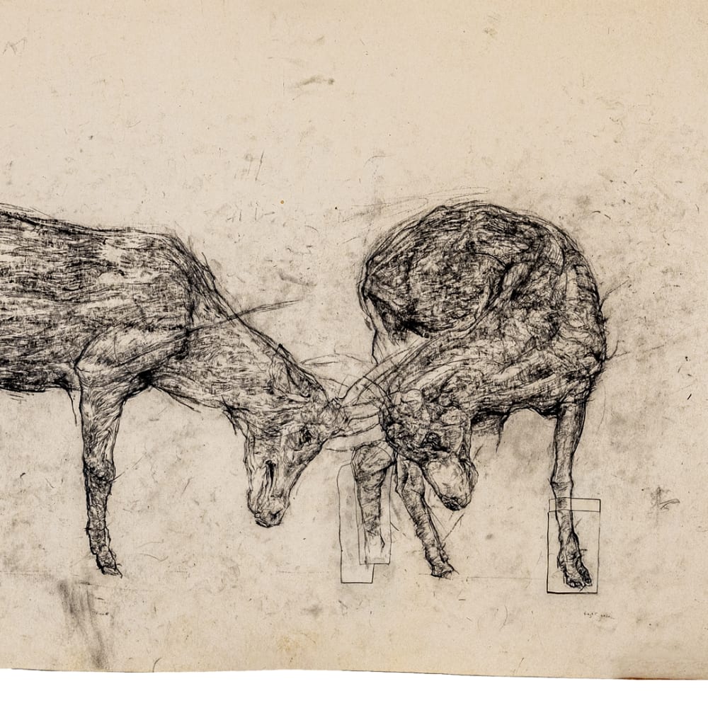Black and white line drawing, two deer with antlers locked in a fight 