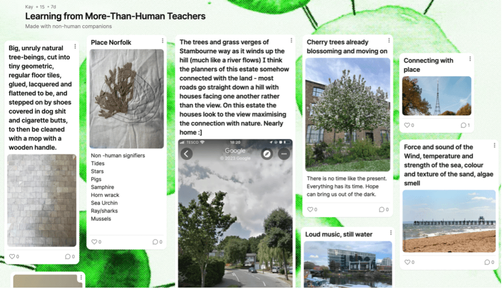 a screenshot of a padlet