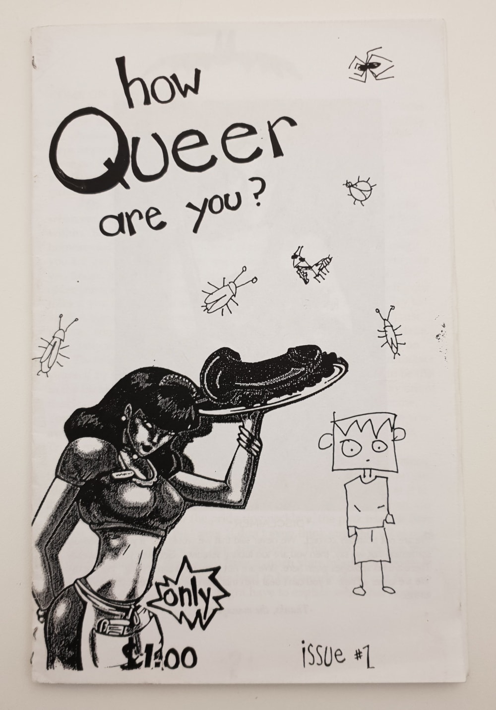 Cover of printed zine, titled 'how Queer are you?'