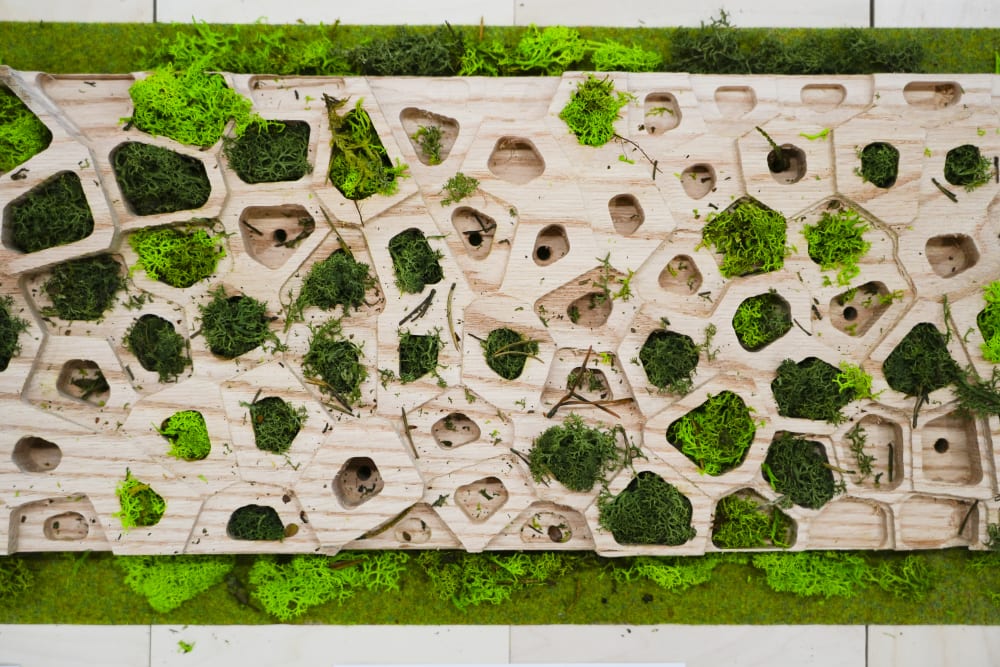 A birdseye view of a wooden structure with green plants coming through it