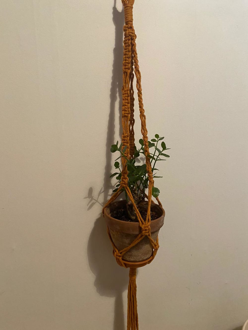 Macramé Plant hanger