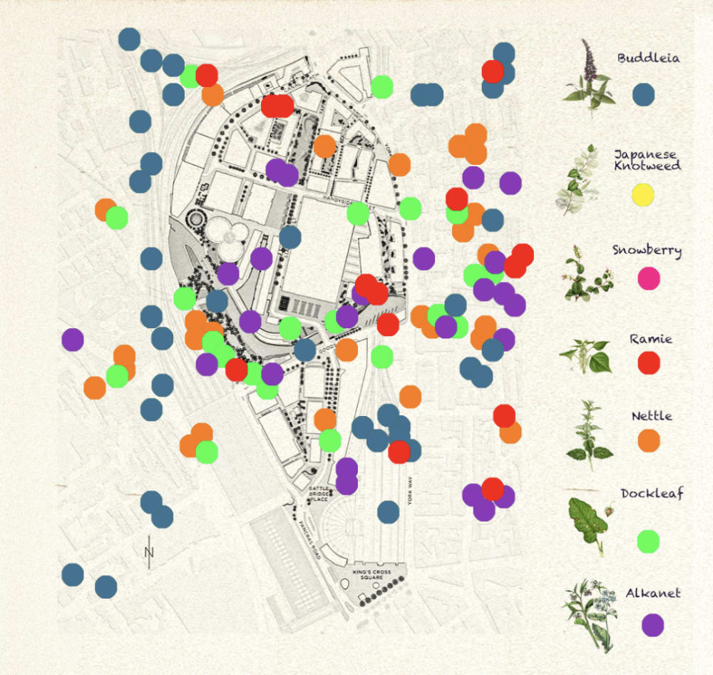 A map with coloured dots denoting plant species