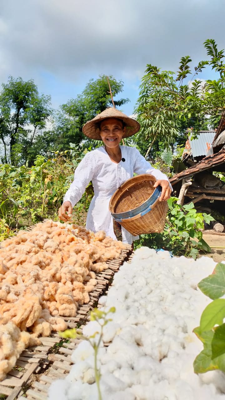 A smallholder farmer with her cotton harvest in Gaji village in Indonesia