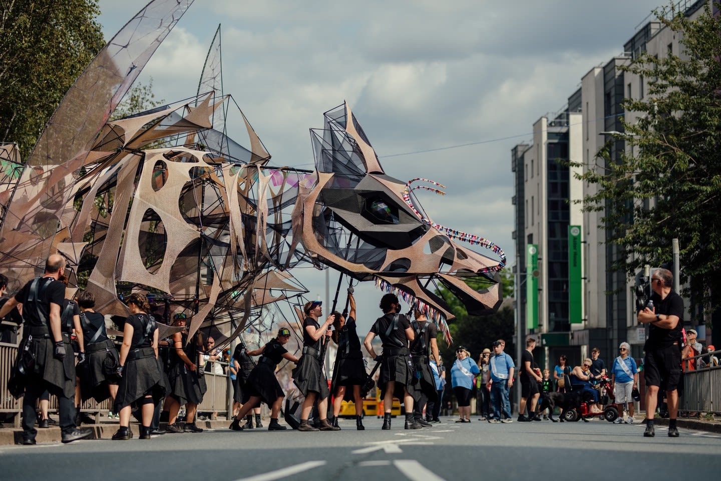 A very large puppet dragon makes its way through a street, controlled from below by a grouper of puppeteers dressed in black. 