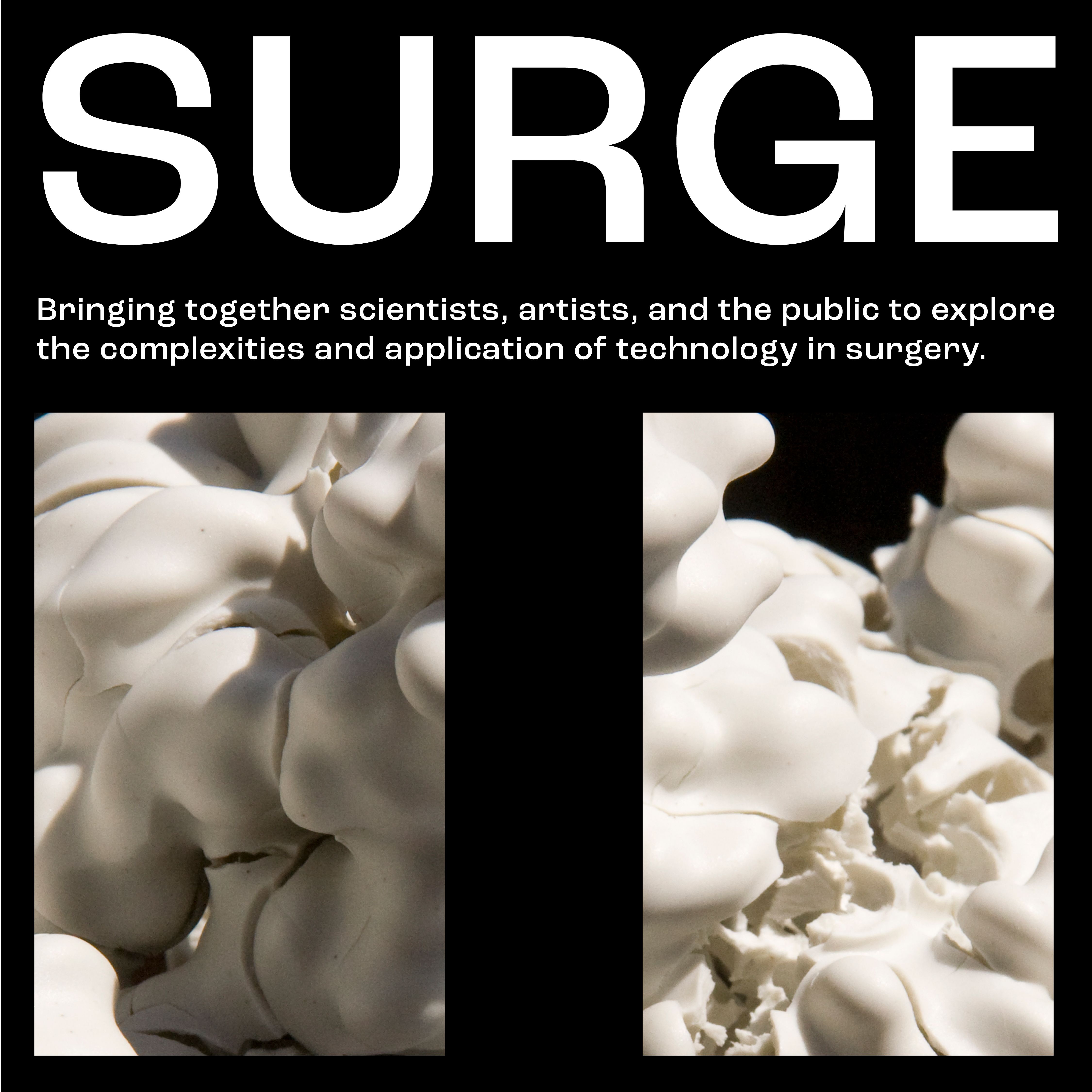 SURGE 2 poster